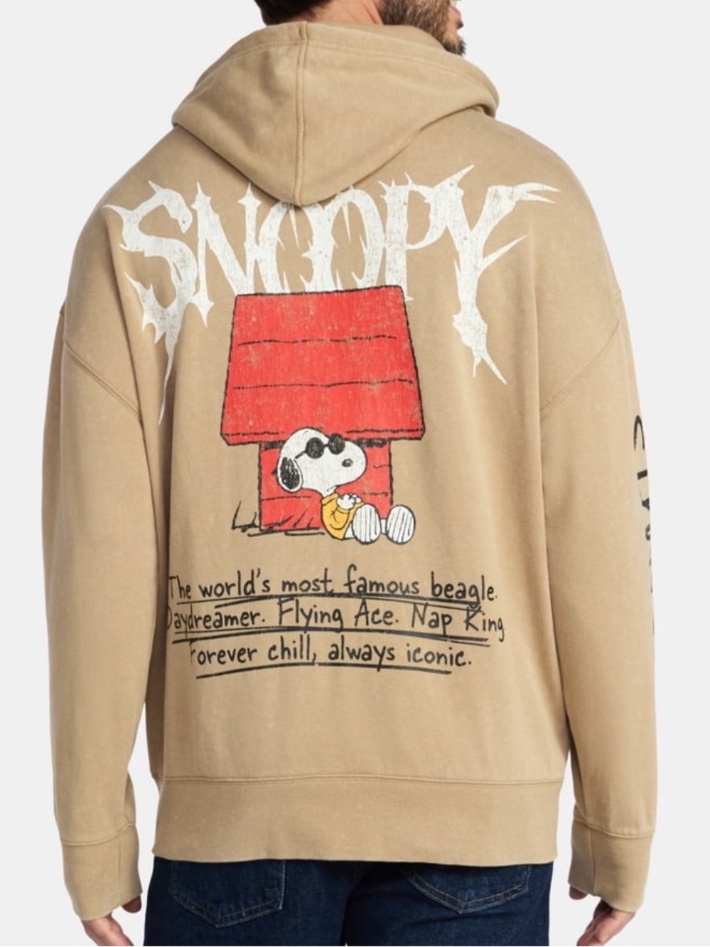 Peanuts Snoopy Men's Graphic Hoodie - Picture 4 of 6